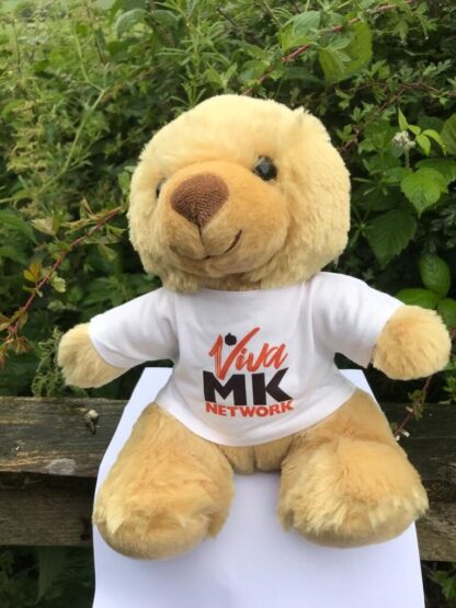 VivaMK Bear