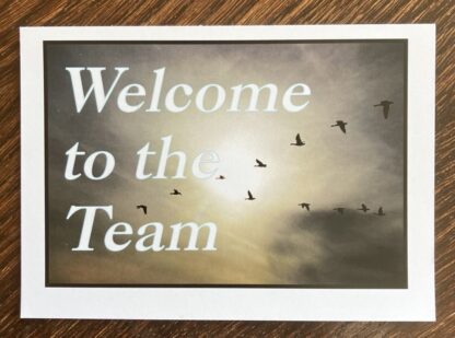 Welcome to our team Postcards - Flying Geese