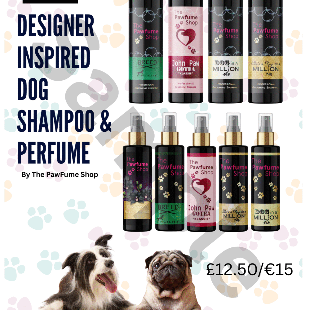 A5 Double Sided Viva Pamper Your Pup in Style Flyer