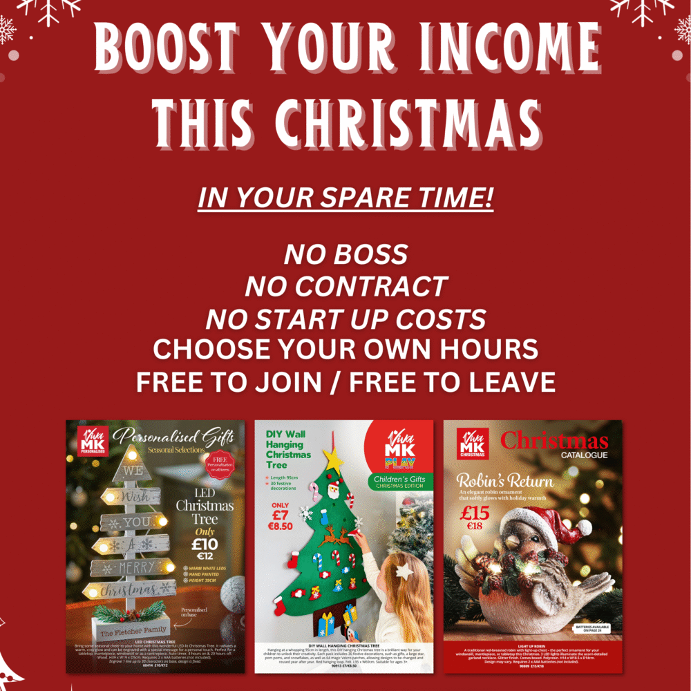 A5 Boost Your Income for Christmas Flyer