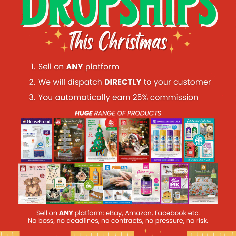 A5 Earn Money with Dropships this Christmas  Flyer