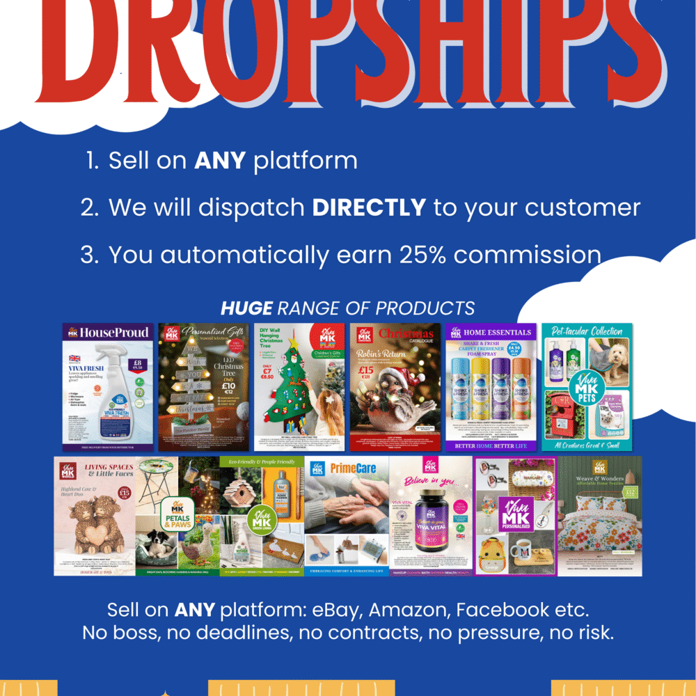 A5 Earn Money with Dropships  Flyer