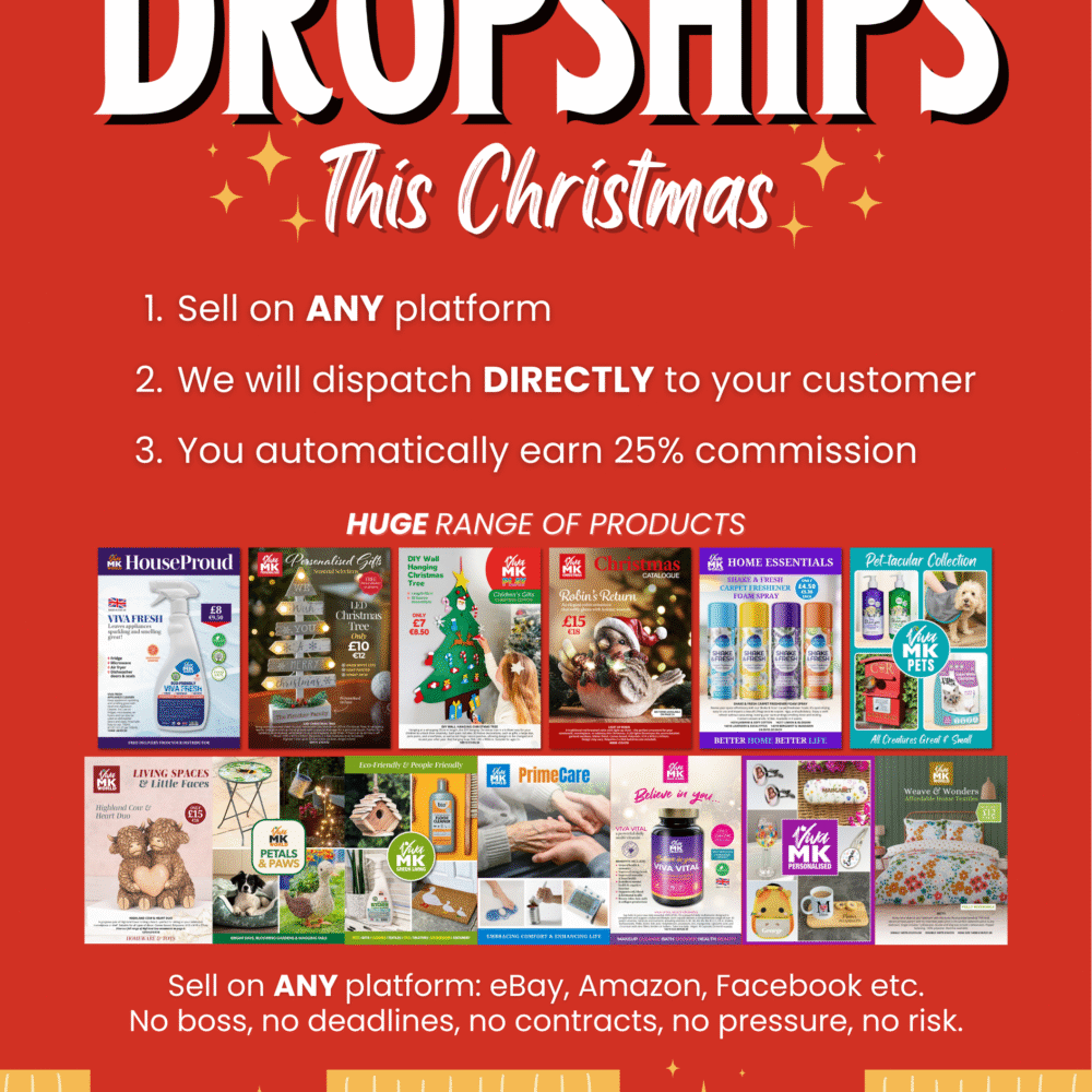 A5 Earn Money with Dropships this Christmas  Flyer 2
