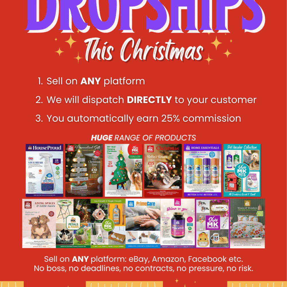 A5 Earn Money with Dropships this Christmas Flyer 3