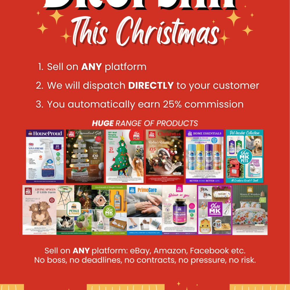 A5 Dropship this Christmas Flyer 2
