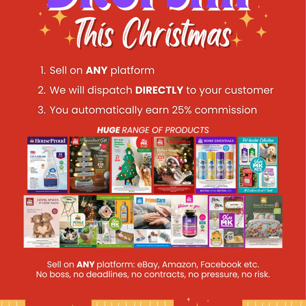 A5 Dropship this Christmas Flyer 3
