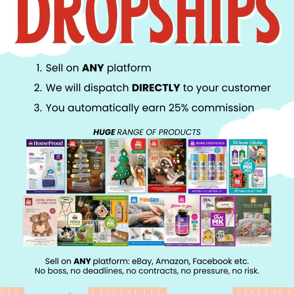 A5 Earn Money with Dropships  Flyer 2