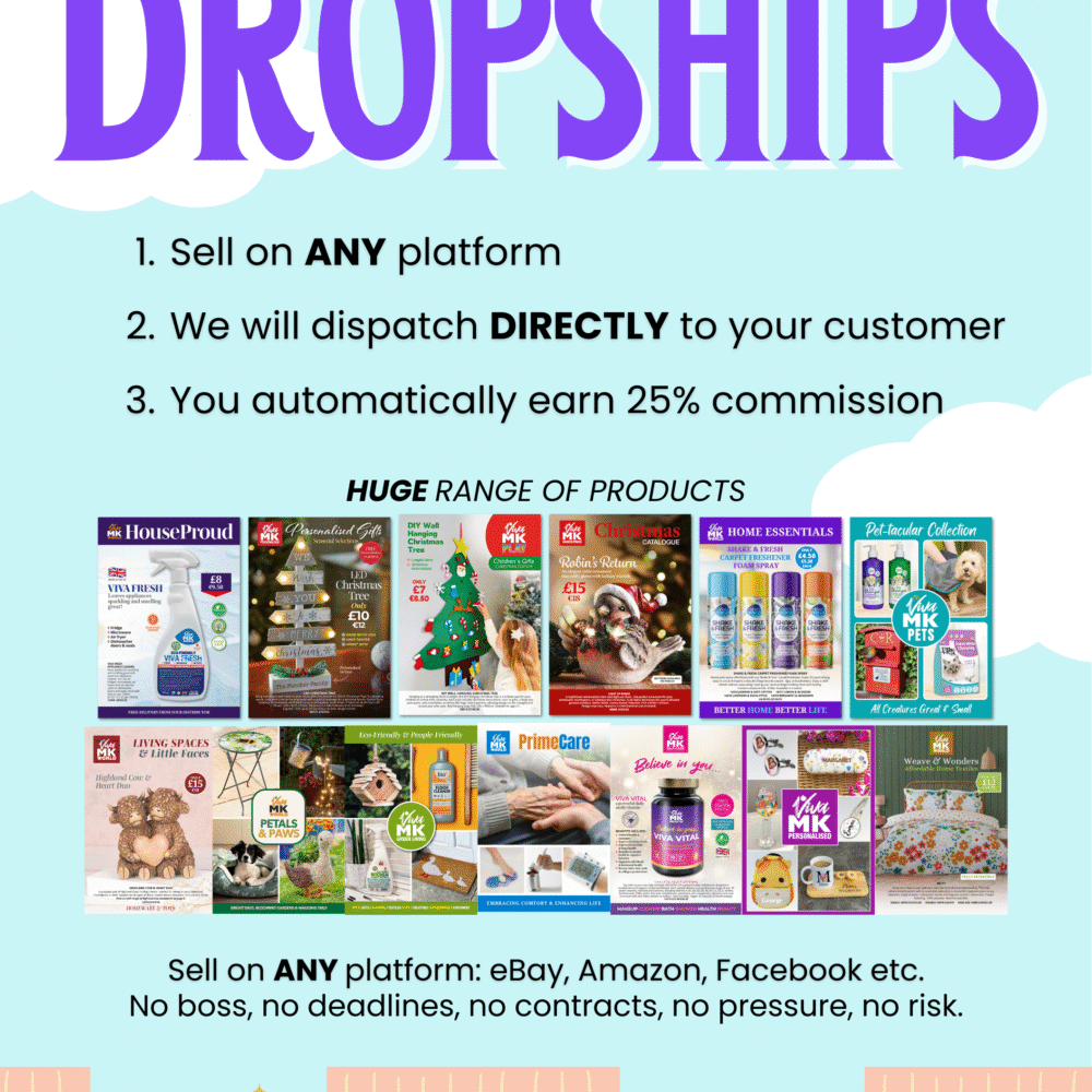 A5 Earn Money with Dropships  Flyer 3