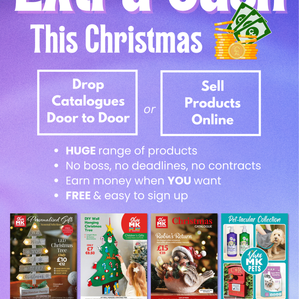 A5 Extra Cash This Christmas Flyer